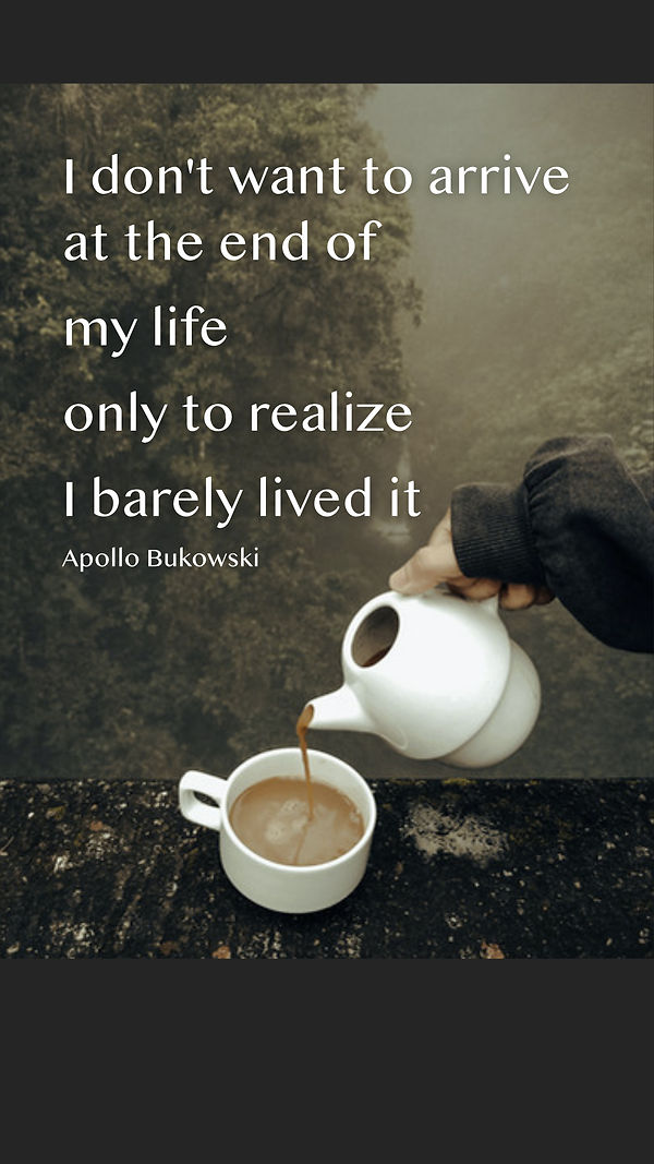 Apollo Quote Horizontal 1.0.jpg