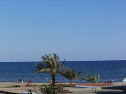 View from the Balcony