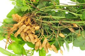 Thumbnail: Peanuts Organic, 200 g