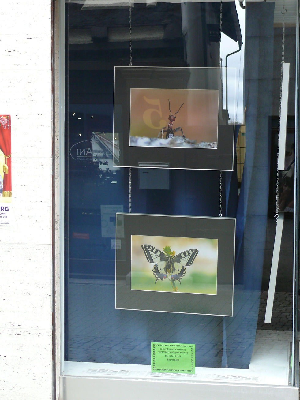 wunderweltnatur-hbg@web.de
