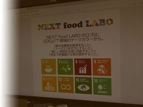 SDGsgrad.jpg