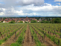 FINAL Rouffach City Scape