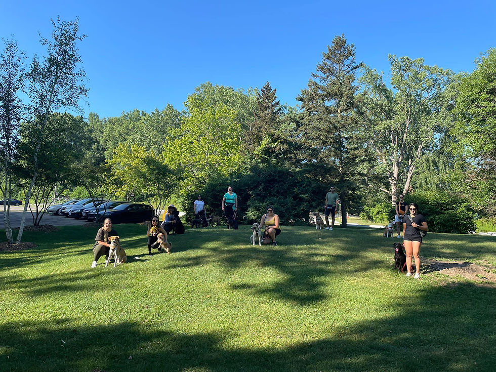 467516705_556485480683268_4177815336984569425_n