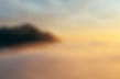 pexels-tomas-wells-30354857-6930735_edited.jpg