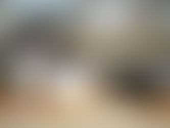 🐾キジ白猫たちが教えてくれたこと|命のつながりと、言葉を超えた心の対話
