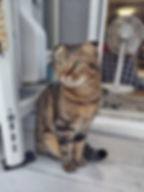 太亜くん