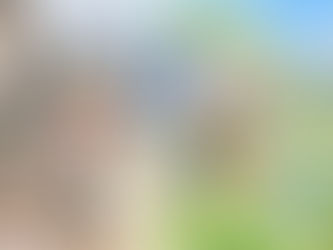 災害からの復旧を支える、人々の力と微生物の働き。