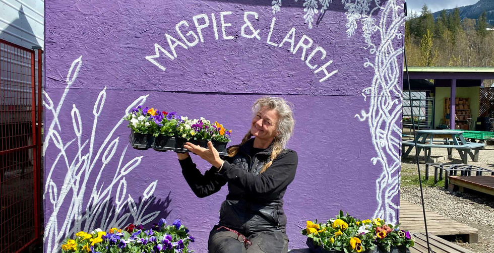 Landscaping Magpie & Larch Revelstoke