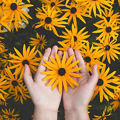 yellow-flowers-hands.jpg