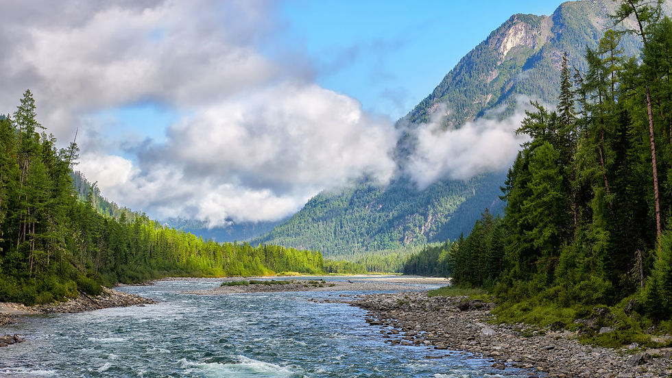 river-flowing-shannon-murphy.jpg