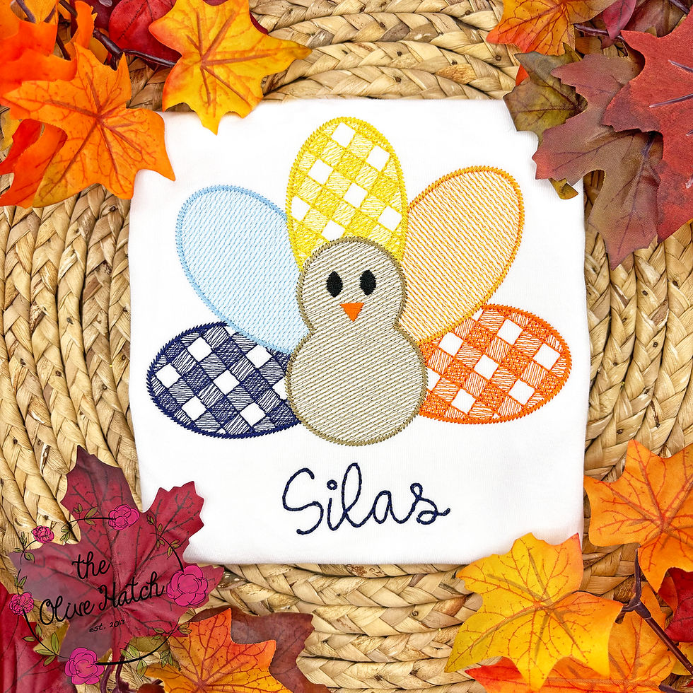 Turkey Sketch Embroidery Shirt