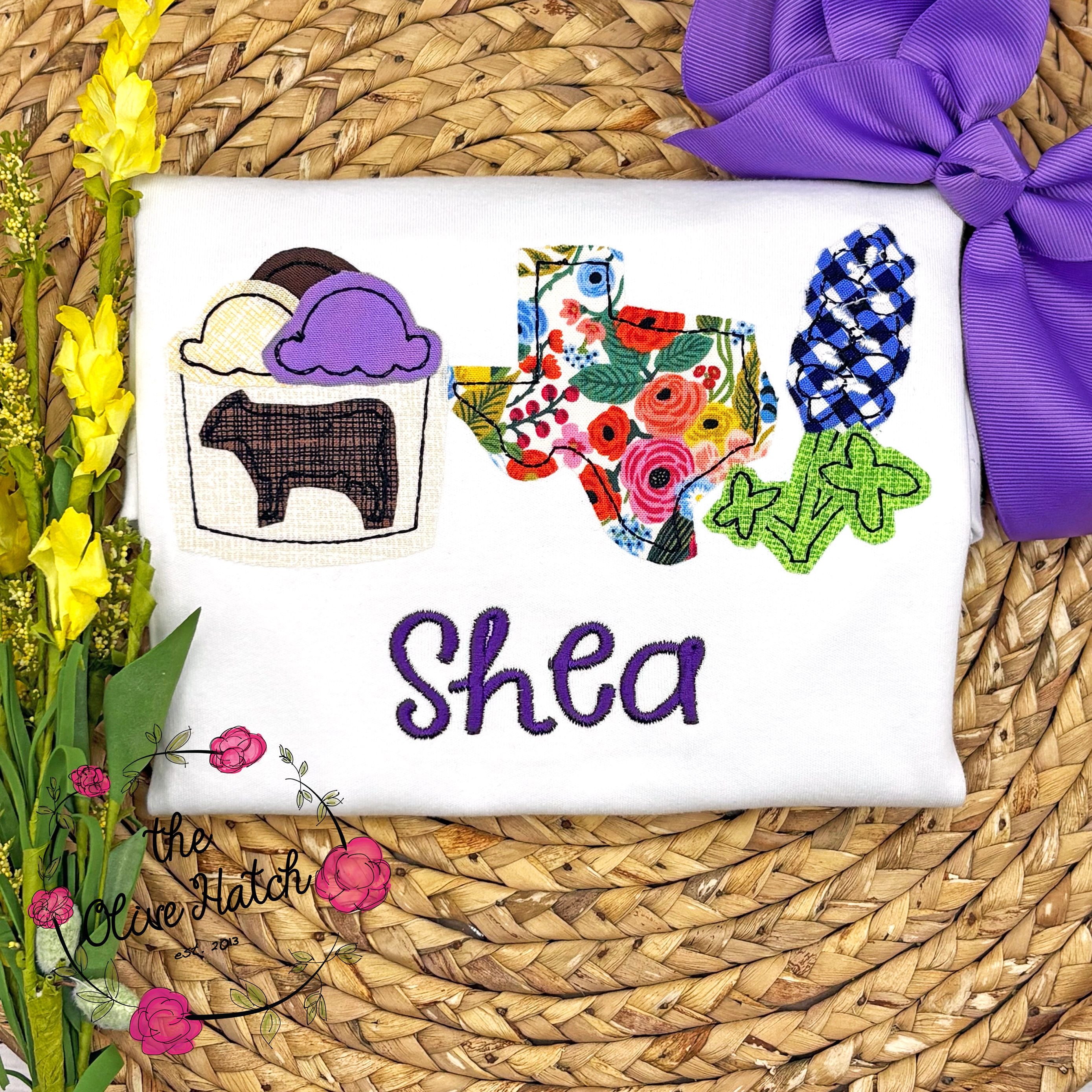 Texas Applique Shirt / Ice Cream Shirt