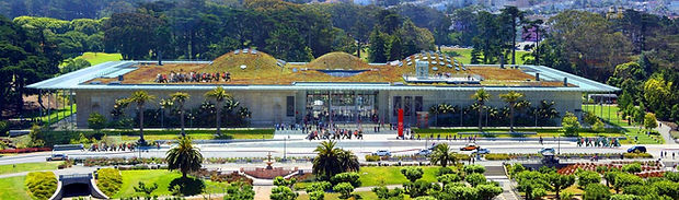 Visit-California-Academy.jpg