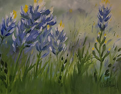 IMG_Bluebonnets_edited.jpg