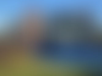 The "Neighborhood Effect": Why Proactive Roofers Are Already Booking March