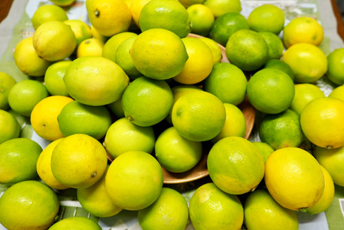 【檸檬ケーキ】全てティーバッグタイプ lemon-4p.jpg