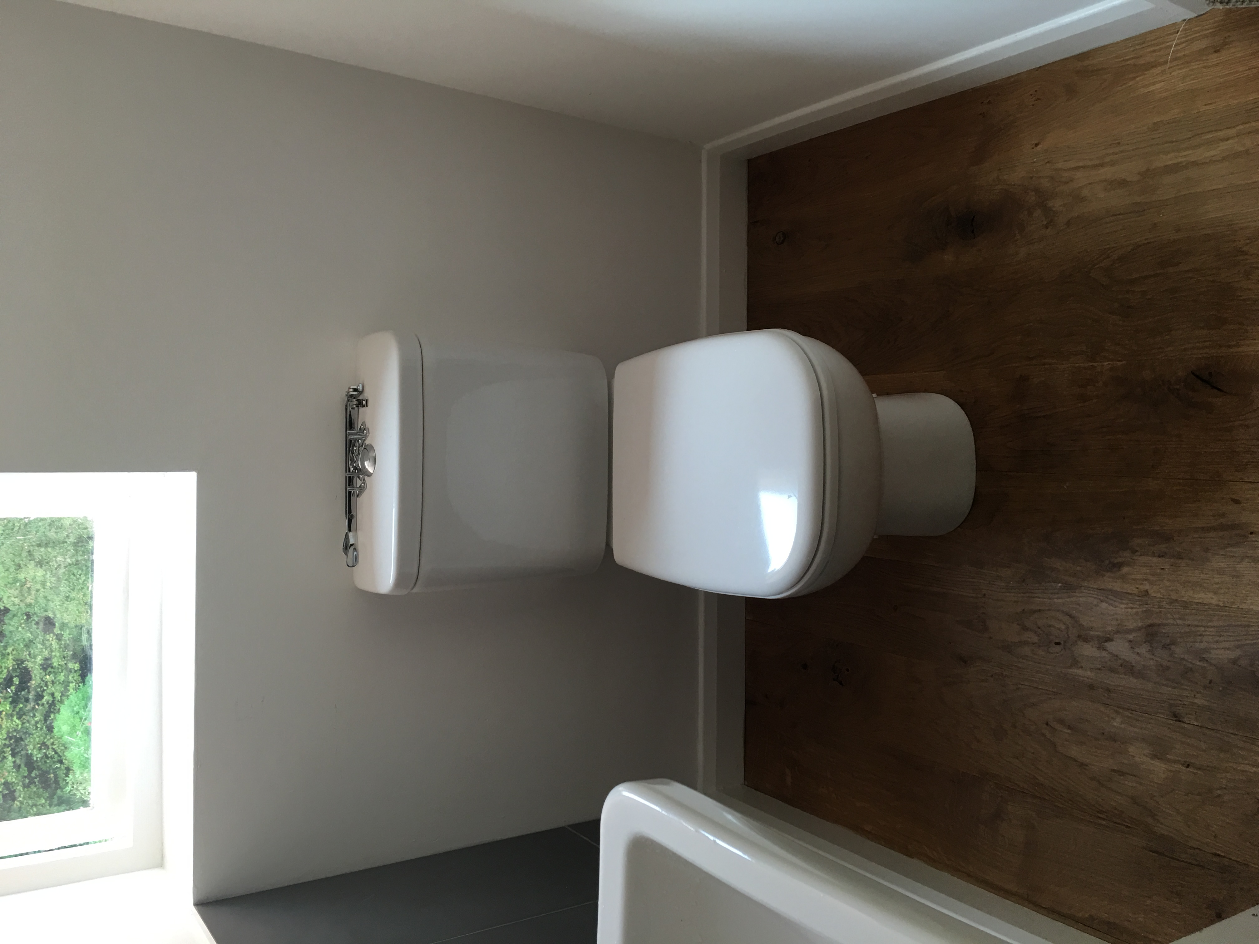 Back To Wall Toilet