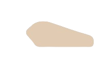 אבן_4-removebg-preview.png