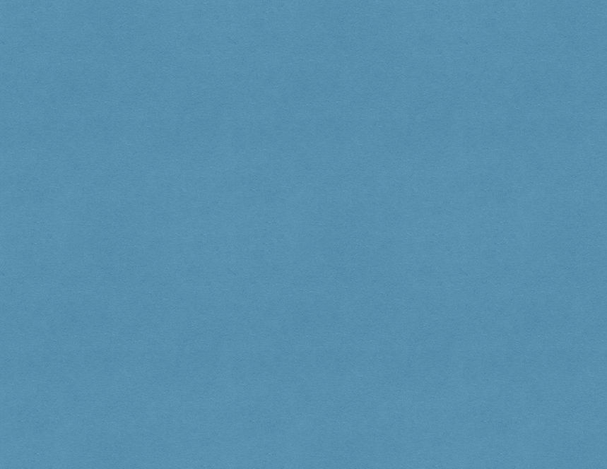 RFC faint blue 1 copy.1.jpeg