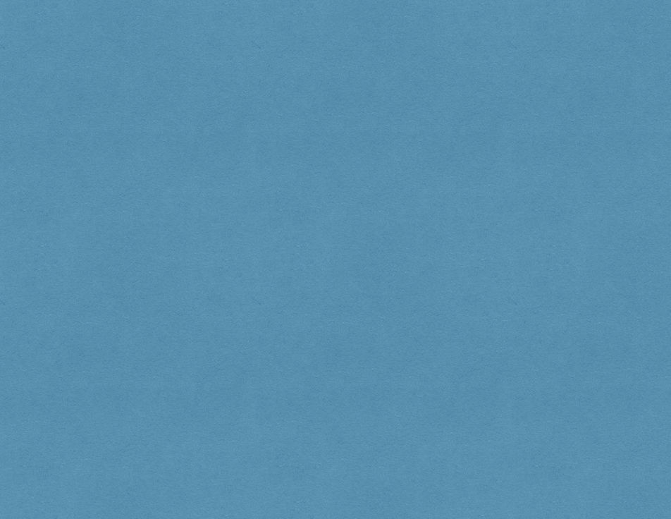 RFC faint blue 1 copy.1.jpeg