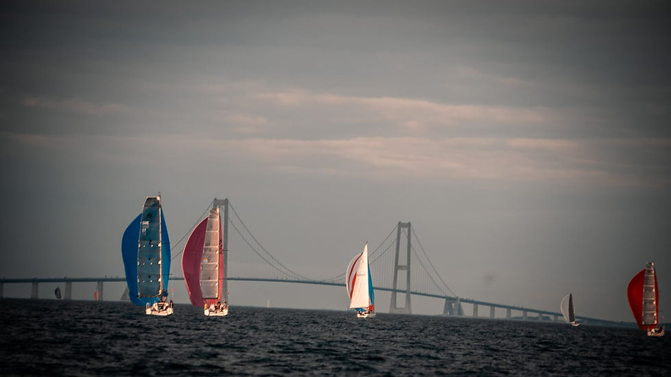 Save the date - Vegvisir Race Nyborg 2026