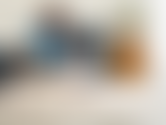 Best Way to Clean Carpet with Pet Odors in New Castle, DE