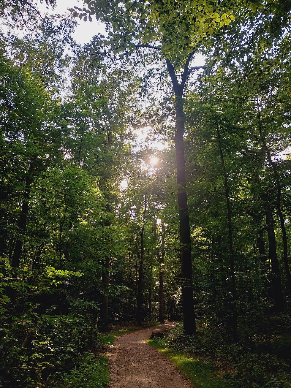 Achtsamkeits-Kurs für Frauen