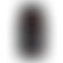 Gumoví medvídci na imunitu – Jellycious VITAPACK