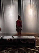 © Swan François 5.jpg