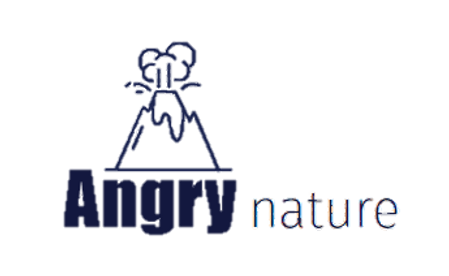 logo project.png