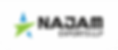 NAJAM LOGO.png