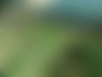 Landscape designing in Palakkad-The story of Malampuzha Park Project.