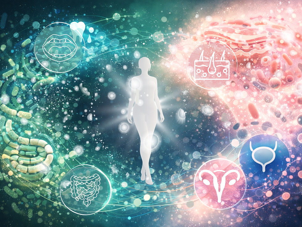 Menopause and the Microbiome