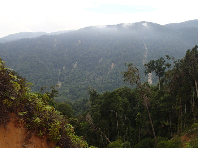 Thumbnail: Gunung Chamah