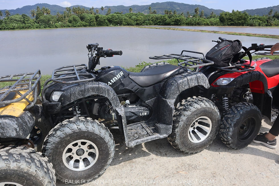 Thumbnail: Penang ATV Eco Tour