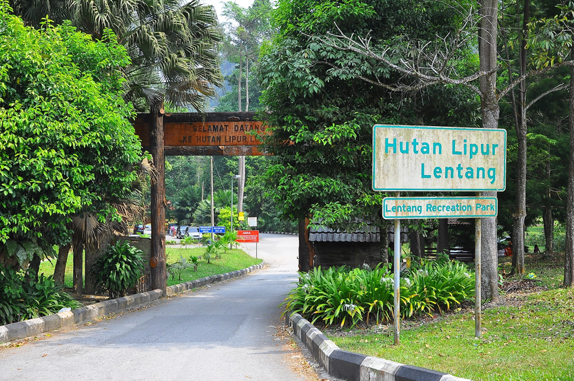Nature's Majesty in Bentong, Malaysia