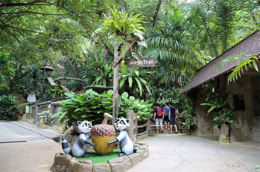 Up-close encounters with exotic animals in a natural habitat setting.