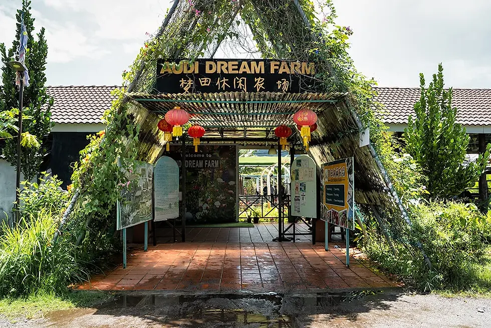 Thumbnail: Audi Dream Farm