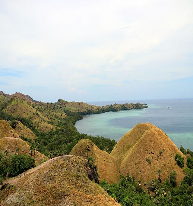 Thumbnail: Amelia Hill Sea View, Komodo