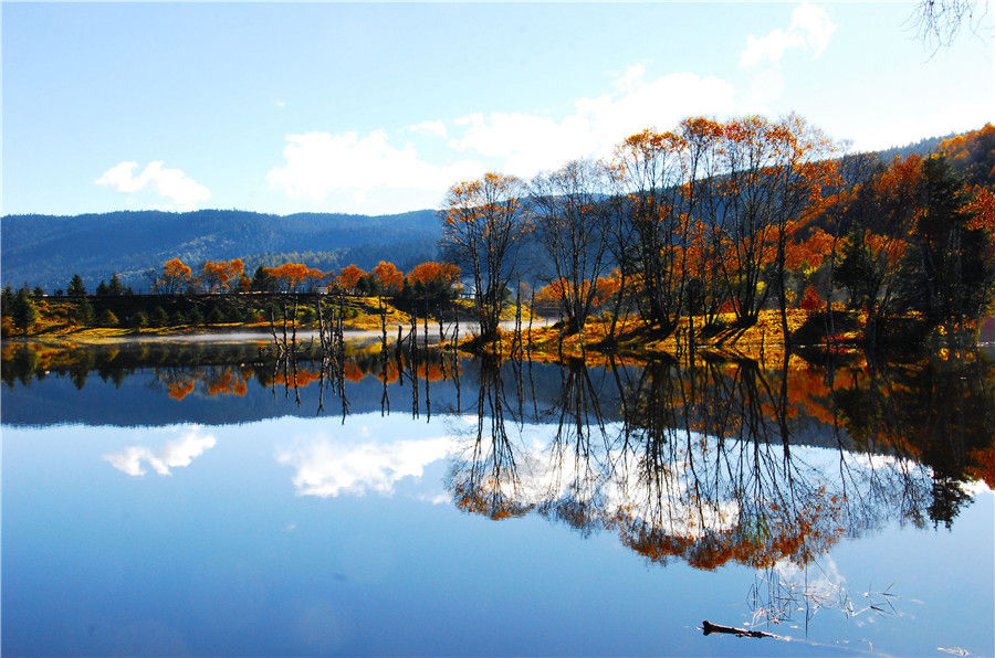 Imej kecil: Pudacuo National Forest, Shangri La