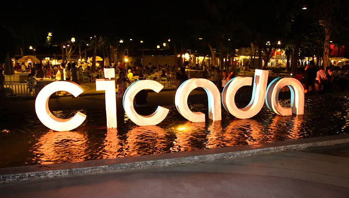 Thailand Cicada Market