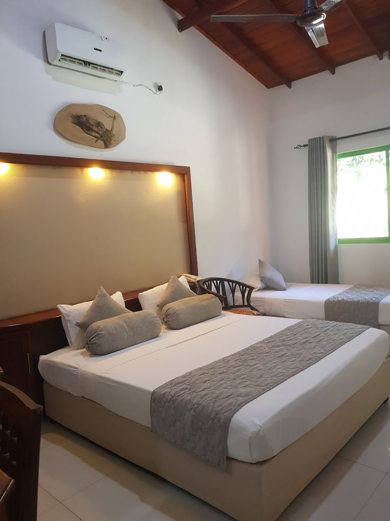 Thumbnail: Discover Sri Lanka Package 6 Days 5 Nights