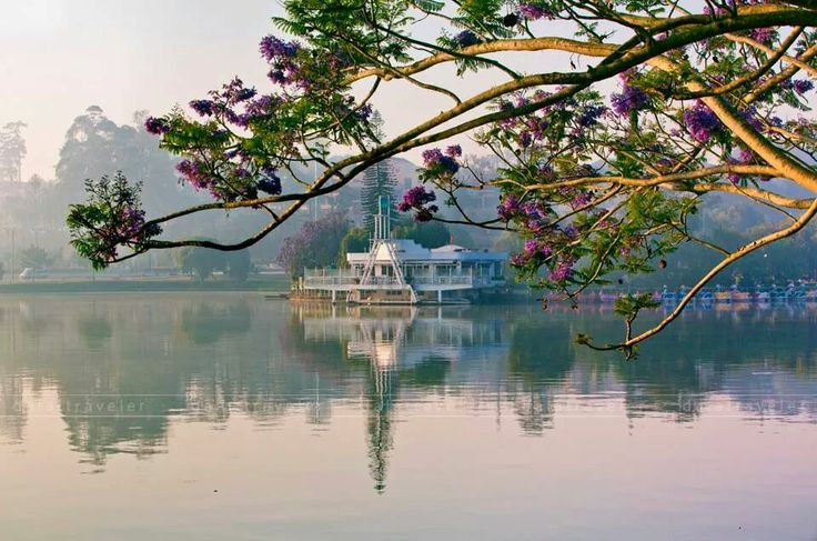 Xuan Huong Lake, Dalat