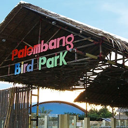 Palembang Bird Park