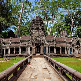 Siem Reap Ta Prohm Temple
