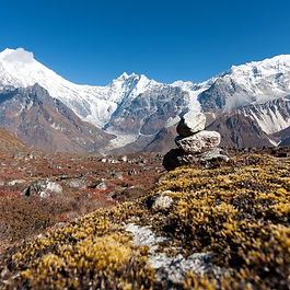 Nepal  Langtang National Park 
