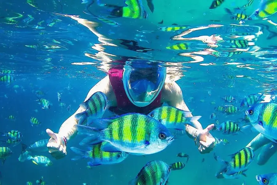 Thumbnail: Pulau Payar Marine Park