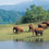 Thumbnail: Periyar National Park Tour