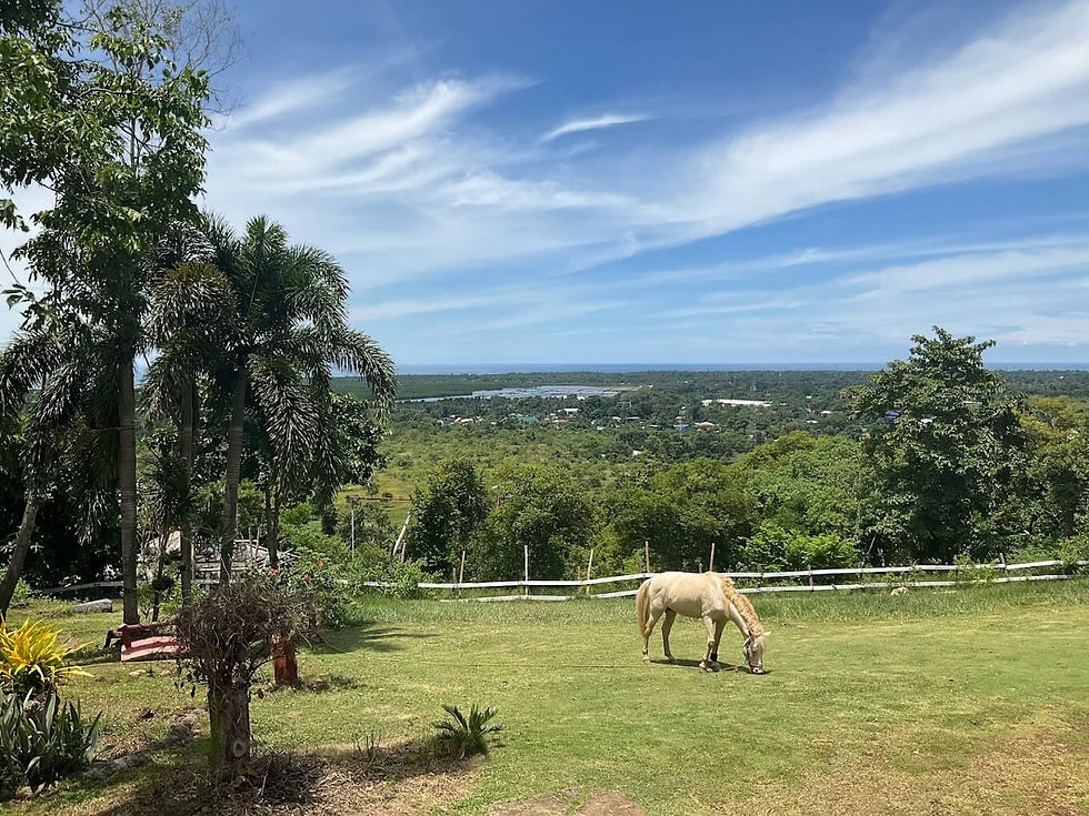 Mitra's Ranch Puerto Princesa