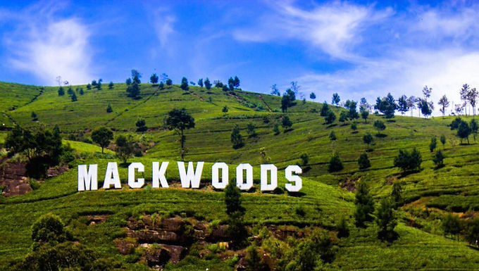 Sri Lanka Mackwoods